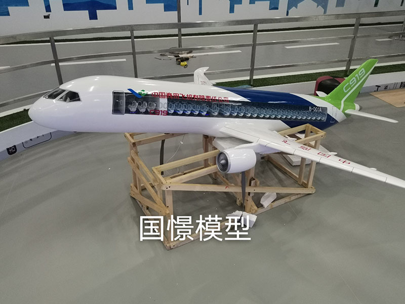 乐陵市飞机模型